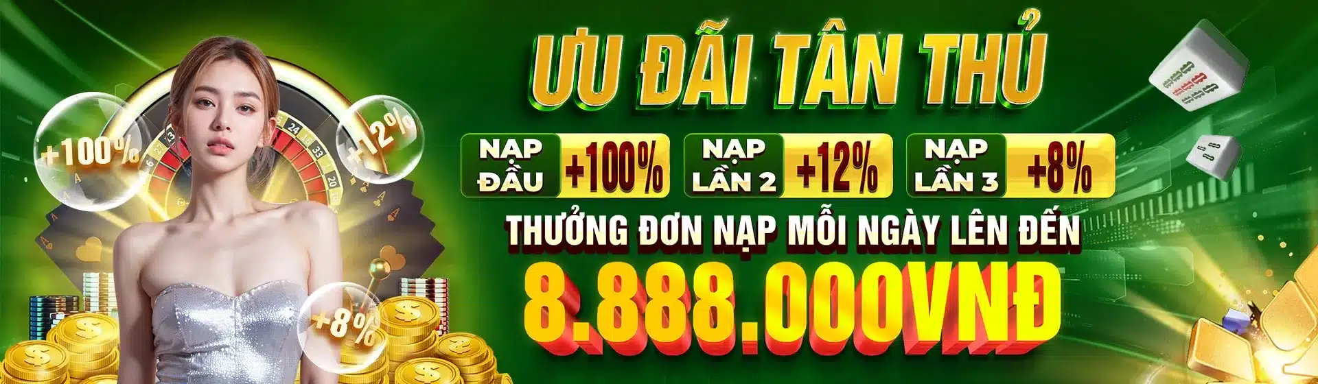 11vn banner