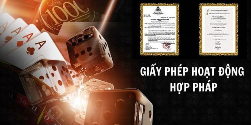Giấy cấp phép chứng nhận 11vn uy tín